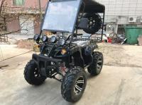 Квадроцикл ATV 200 Cab (200 кубов)