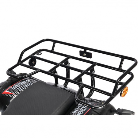 Электроквадроцикл WHITE SIBERIA SNEG PRO 3000W